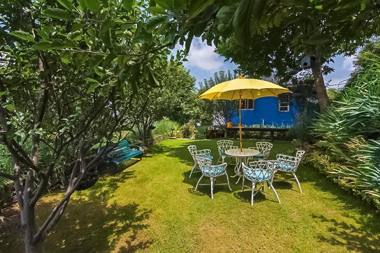 Stayvista At Violet Hill With Bonfire, Gazebo & Hill View Shimla Extérieur photo