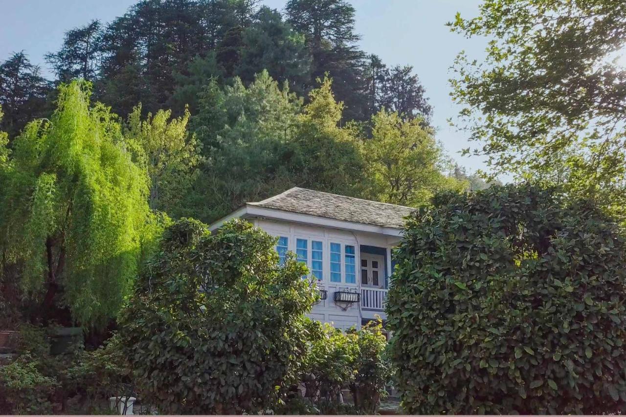 Stayvista At Violet Hill With Bonfire, Gazebo & Hill View Shimla Extérieur photo